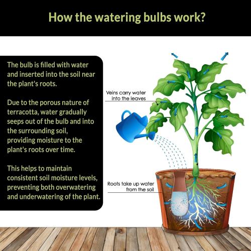 Ollas (Set of 4) | 12oz Terracotta Plant Watering Globes - Self Watering Planter Insert - Automatic Plant Watering Devices | Vacation Watering Pots for Indoor & Outdoor Plants