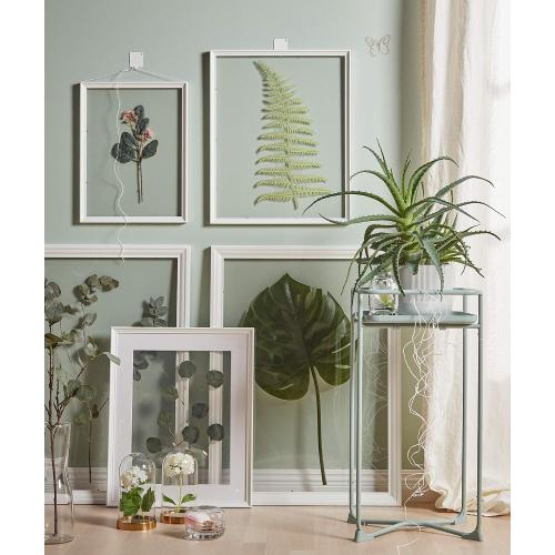 picture frame
