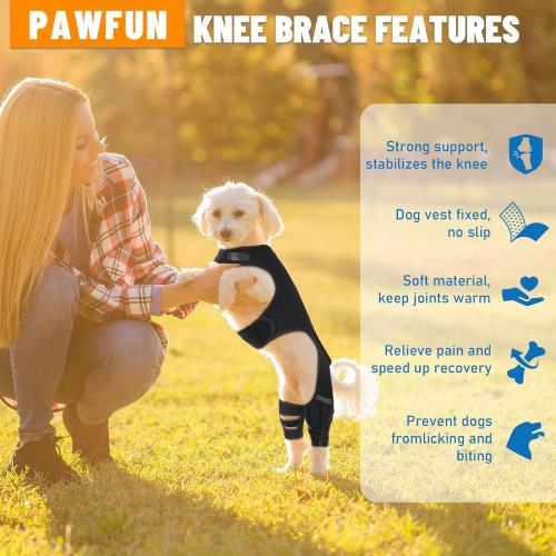 Dog Knee Brace for Hind Legs- Adjustable Dog Leg Brace for Both Back Leg Helps with Torn ACL, Luxating Patella, Ligament Injuries & Arthritis, L