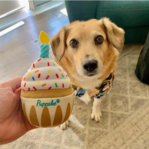 Nestpark Dog Birthday Toy - Pup Cake Puppy Cupcake Plush Squeak and Crinkle Gift