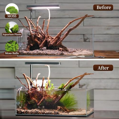 majoywoo Natural Large Driftwood for Aquarium Decor Reptile Decor, Assorted Spider Wood Branch 13-17 Long, Fish Tank Decoration