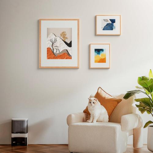 Oak Wood Picture Frames 11x17 with Mat for 9x15 - Natural Solid Wood Photo Frame Real Glass Wall Hanging