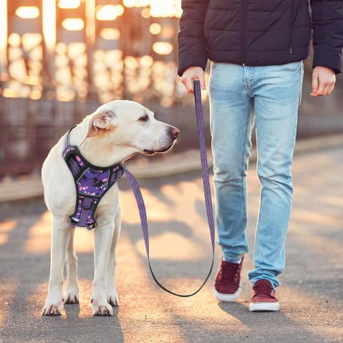 Size M No Pull Dog Harness for Medium Dogs, Adjustable No Choke Pet Vest with Dog Leash Fit Smart Reflective Pet Walking Harness for Training Easy Control Soft Handle Purple Camo