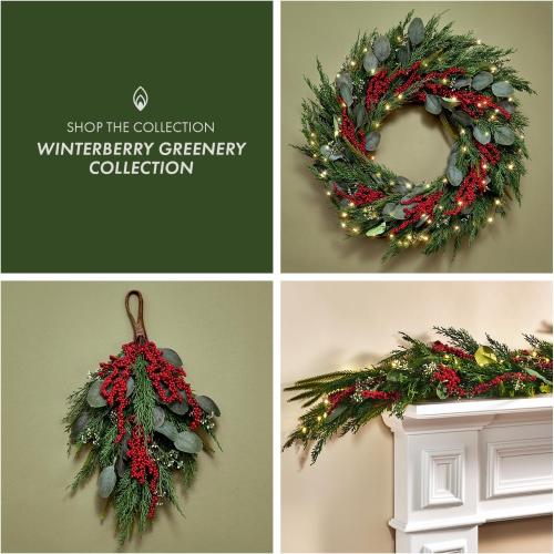 LampLust Winter Wreaths for Front Door Outside, 24 Inch Cypress & Eucalyptus Wreath with Red Berries 100 LED Lights, Timer, Battery Powered, Farmhouse Wreath Year Round, Winter Wreaths for Indoors