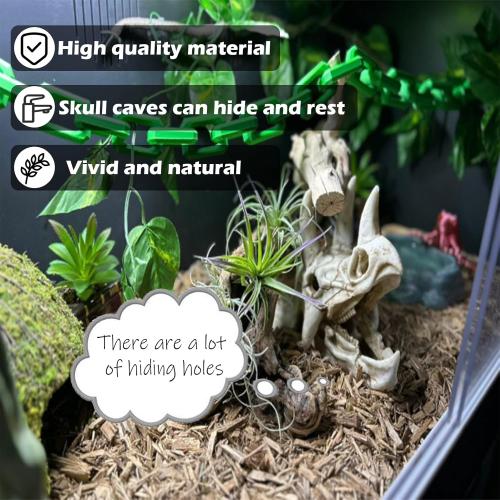 kathson Reptile Resin Dinosaur Skull Decoration Bearded Dragon Tank Triceratops Skeleton Accessories Vines Flexible Leaves Decor for Lizards Tortoises Snakes Frogs(3 PCS)