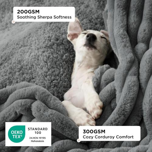 Bedsure ComfyFleece™ Waterproof Blanket for Bed, queen （70x180） Warm Grey