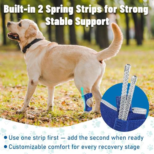 Dog Leg Braces for Back Leg- Hock and Ankle Joint Support Brace for Rear Legs with 2 Metal Strips, Reflective Edging for Sprain, Injury, Arthritis, Wound Recovery,Blue,L