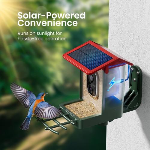‼️may be some missing pieces or mild stains ‼️Smart Bird Feeder with Camera Solar Powered, 2K HD Video, AI Bird Species Identification, Instant Arrival Alerts, Weatherproof Design for Effortless Birdwatching, Best Gift for BirdLovers, Red