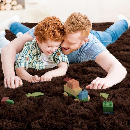 Area Rug Brown Large Living Room Fluffy Carpet for Bedroom Dorm, Non-Slip High Pile, Coffee Modern Big Shag Rug for Classroom Kids Playroom Nursery Home Office Decor