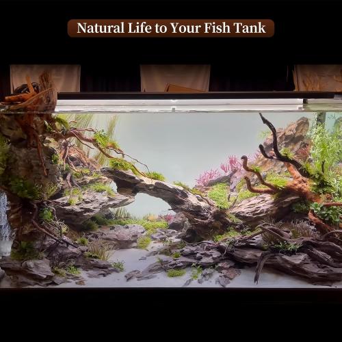 majoywoo Natural Large Driftwood for Aquarium Decor Reptile Decor, Assorted Spider Wood Branch 13-17 Long, Fish Tank Decoration