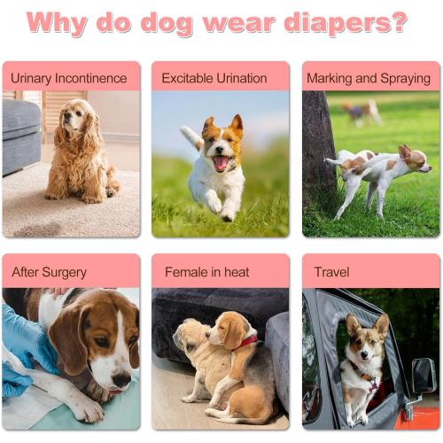 10Pcs Dog Diapers Female,Disposable Pull Up Stretchy Waist Wraps for Female Puppy Dogs in Heat Period, Strong Absorbency | Leak Proof | Elderly | Doggie Training Incontinence S