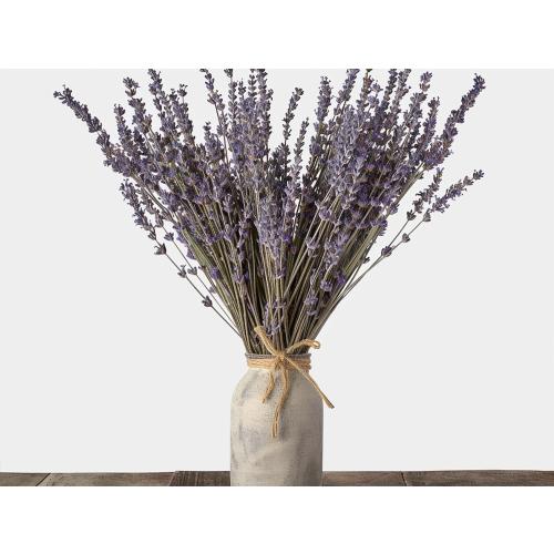 Dried Lavender 2 Bunches 100% Fresh Natural Purple Bouquet Flowers for Bathroom Photo Props Crafts Decoration, 15-17 for Shower Weeding Vase Decor, Home Fragrance(200-220 Stems(100g/3.5oz Total))