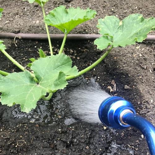 GREEN MOUNT Watering Wand, 24 Inches Sprayer Wand with Superior Stainless Head, Perfect for Hanging Baskets, Plants, Flowers, Shrubs, Garden and Lawn, Blue