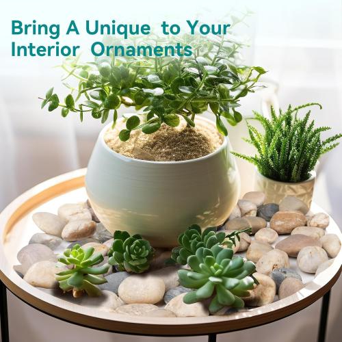 40 lbs Rocks for Outdoor Landscaping, 2-3 Aquarium Rocks for Fish Tank, Natural Decorative Garden Stone for Plants, Flower Pots, Vase, Walkways, Yard