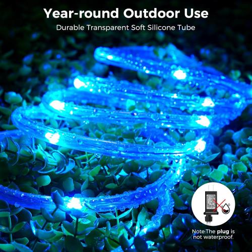 Minetom Color Changing Rope Lights Outdoor, 33FT 100 LED String Lights with Plug & Remote, Waterproof Christmas Light Outdoor Decoration, Twinkle LED Rope Light for Outside Indoor Bedroom,16 Colors