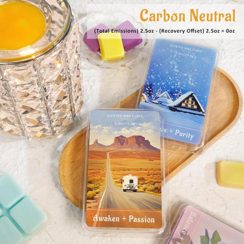 STRN Wax Melts Natural Soy Wax Cubes with Essential Oils - Long Lasting Strong Fragrance Tarts for Warmer, Home, Spa, Gift Use - 4 x 2.5oz Aromatherapy Wax Melts Variety Pack