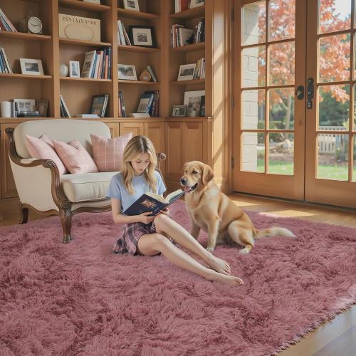 Rugs for Living Room 5x8, Alfombras para Salas Shag Large Plush Soft Area Rug, Shaggy Carpets for Bedroom, Kids Boys Girls Home Decor Aesthetic(Blush, 5 x 8)