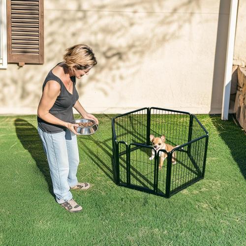 FXW Rollick Unleashed Dog Playpen for Indoor, Yard, RV Camping, 24 inch 6 Panels for Small and Puppy Dogs│Patented‼️used all hardware may not be available ‼️