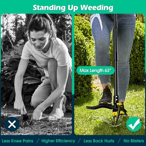 Lilyvane Weed Puller with Long Handle- 63inch - Adjustable Stand Up Weed Puller Tool, Heavy Duty Stand Dandelion Digger Puller, Ergonomic Standing Weeding Puller Tool Weed Picker for Garden Lawn