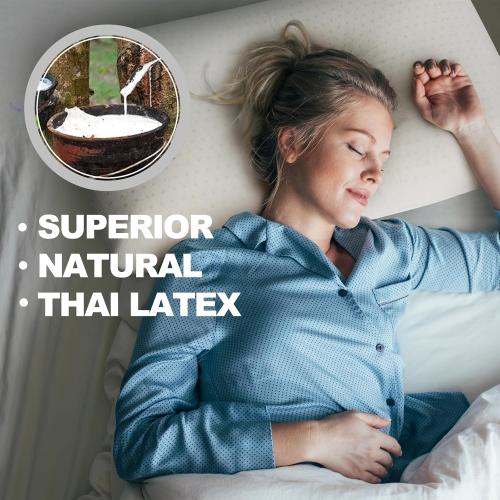 100% Talalay Latex Pillow, Luxury Queen Sleeping Bed Pillow for Side, Back, and Stomach Sleepers, Extra Soft Natural Latex Foam Pillow, Removable Breathable Cotton Cover (1, Queen (Mid Loft))