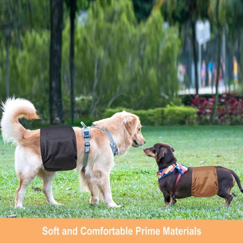 Langsprit Male Belly Bands for Dogs (Pack of 3) - High Absorbing Dog Wraps Male Washable - Reusable Small Doggy Doggie Puppy Dog Diapers M Size ColorZLH