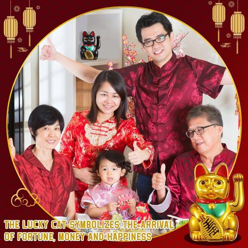 Chunful 6 Inch Lucky Cat Waving Arm Maneki Neko Lucky Beckoning Feng Shui Wealth Cat for Welcoming Fortune Wealth Prosperity Decoration, Battery Not Included(Gold Color)