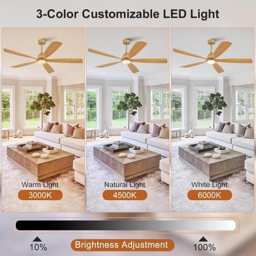 DELIHUA 72 Inch Ceiling Fans with Lights and Remote, Wood Ceiling Fan with Light, 5 Blade, Dimmable, Wall Switch, 6 Speeds Reversible DC Motor, Large Outdoor Ceiling Fan for Patio Farmhouse (Gold)