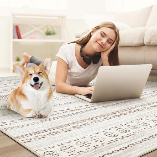 Area Rug Living Room Rugs - 5x7 Washable Boho Farmhouse Bohemian Neutral Large Moroccan Geometric Soft No Slip Indoor Rug Thin Floor Carpet for Bedroom Under Dining Table Home Office - Brown