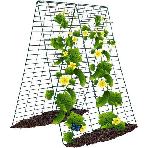 Metal Cucumber Trellis Foldable,Garden Trellis for Climbing Outdoor Plants,Tomato Plant Support,Green Bean Trellis,Vegetable Trellis,Zucchini Trellis,Plant Holders for Outside (1)