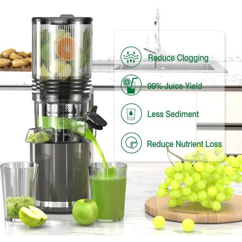NEEDS CLEANING USED Cold Press Juicer, 6.5 Extra Wide Feed Chute Juicer Machines, 350W Slow Juicer Machines with High Juice Yield for Whole Vegetables & Fruits, BPA Free (Titanium Gray)