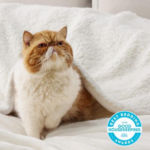 Bedsure GentleSoft Sherpa Fleece Throw Blanket for Couch, Non-Heated, Thick and Warm Throw for Women and Men, Soft Fuzzy Plush Blanket for Spring, Cream, 50x60 Inches