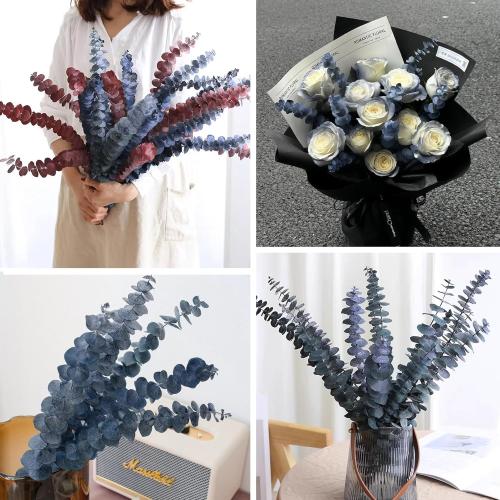 26Pcs Real Dried Eucalyptus Stems, 17 Blue-Green Dry Flowers