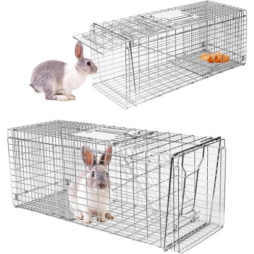 Animal Trap Cage, 31 Inch Live Traps for Raccoons Heavy Duty, Cat for Stray Cats, Squirrels, Raccoon, Rabbits, Possum, Skunk, Outdoor Small Animal Humane Catch & Release, Foldable