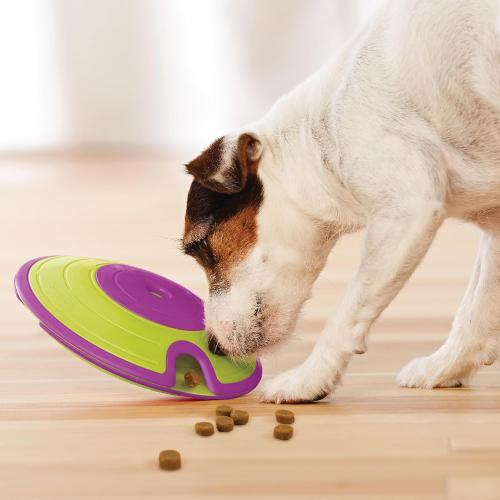 Outward Hound by Nina Ottosson Dog Treat Maze Dog Puzzle Enrichment Toy, Level 2 Intermediate, Green