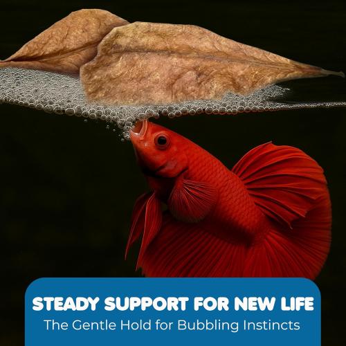 SunGrow 50 pcs Catappa Indian Almond Leaves for Betta Fish Tank Aquarium, 2” Water Conditioner Leaves, Leaf Also Suitable for Shrimp, Goldfish, Guppy and Frogs