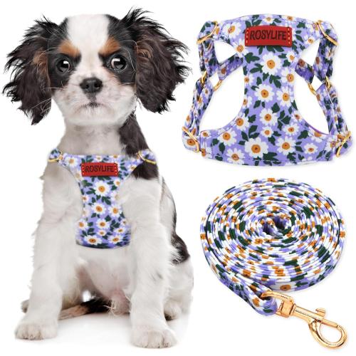 No Pull Dog Harness Adjustable Small Dog Harness and Leash Set, Lightweight and Soft Dog Harness No Choke Escape Proof Pet Harness Vest (Purple Daisy, XX-Small)