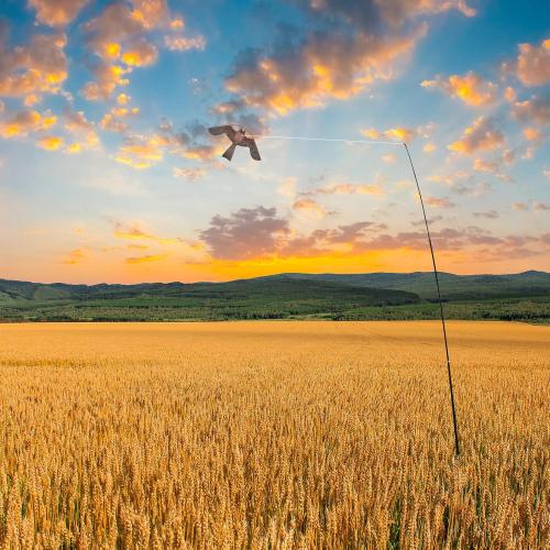 eyijklzo Bird Scarer Flying Kite Crops Farm Flying Bird Hawk Flying Kite