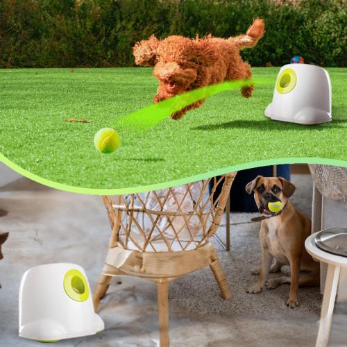 Automatic Dog Ball Launcher, Interactive Fetch Toy for Small to Medium Dogs, Pet Thrower Machine for Indoor & Outdoor Play, 3 Pcs 2-Inch Balls Included