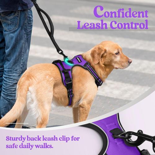 Medium rabbitgoo Dog Harness No Pull with 2 Leash Clips, Adjustable Soft Padded, Reflective Oxford No Choke Pet Vest with Easy Control Handle for Medium Sized Dogs, Purple, M