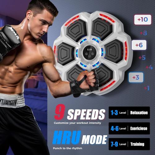 Music Boxing Machine for Adults,Bluetooth Smart Boxing Training Machine,Wall Target Punching Workout for Kids,Reflex Training Suitable for Home,Office,Gym,Fun Fitness Equipment(Hoar)