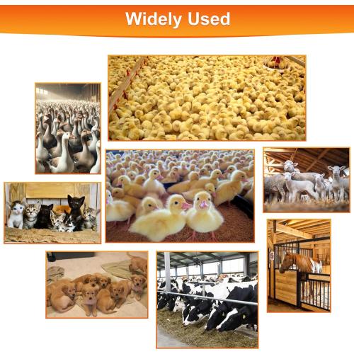 450W Heat Lamp for Chickens, Large Chicken Coop Heater, Carbon Fiber Chicks Brooder Heaters Plate, Adjust 5 Mode Temp&Time&Hanging Height, 9.8 Ft Cord Heater for Poultry Livestock Heating