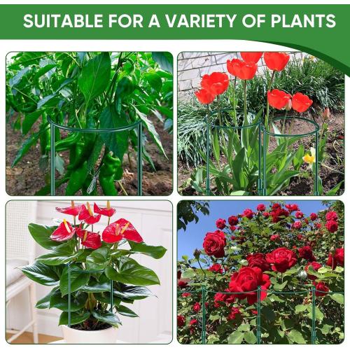 6 Pack 32 or 16 inch Adjustable Plant Support Stakes, Heavy-Duty Half Round Peony Support, Garden Plant Stakes Cage for Outdoor Plants, Peony, Tomato, Hydrangea, (16In Support  16In Extension Tubes)