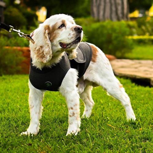 Calming Vest: Anxiety and Stress Relief for Dogs - Dog Anxiety Relief Calming Vest (Medium), Gray
