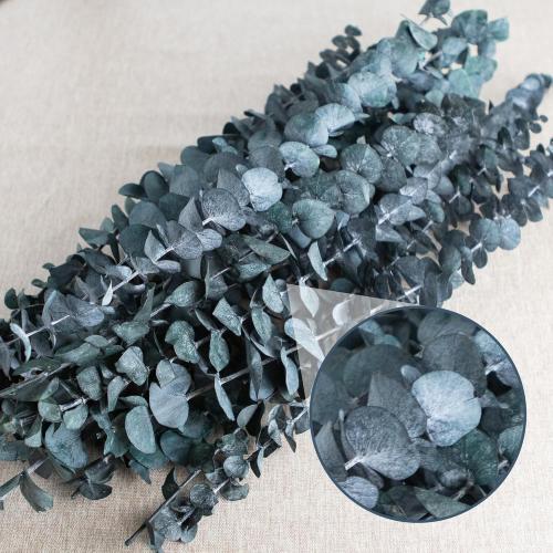 26Pcs Real Dried Eucalyptus Stems, 17 Blue-Green Dry Flowers