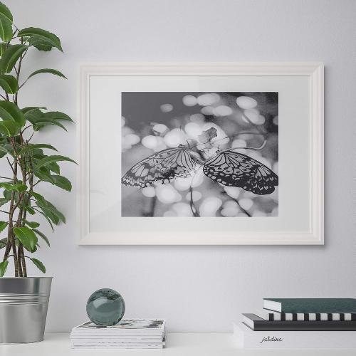 picture frame