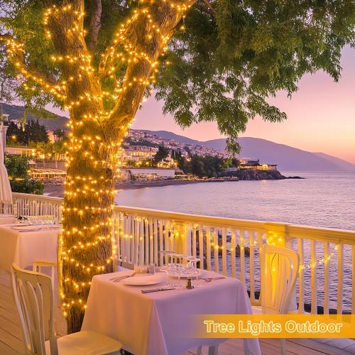 JMEXSUSS 1000 LED Warm White Christmas String Lights with Remote, 8 Modes Plug-in for Indoor Outdoor Bedroom Garden Yards Thanksgiving Party Holiday Wedding Decor