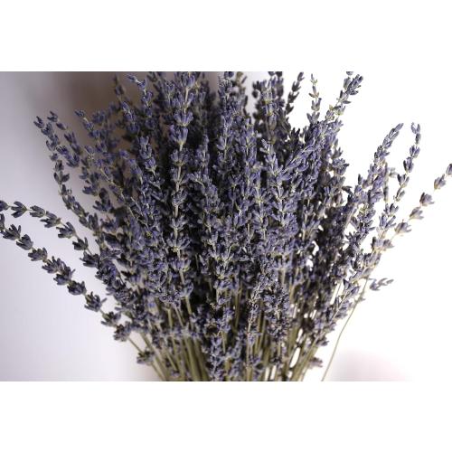 Dried Lavender 2 Bunches 100% Fresh Natural Purple Bouquet Flowers for Bathroom Photo Props Crafts Decoration, 15-17 for Shower Weeding Vase Decor, Home Fragrance(200-220 Stems(100g/3.5oz Total))
