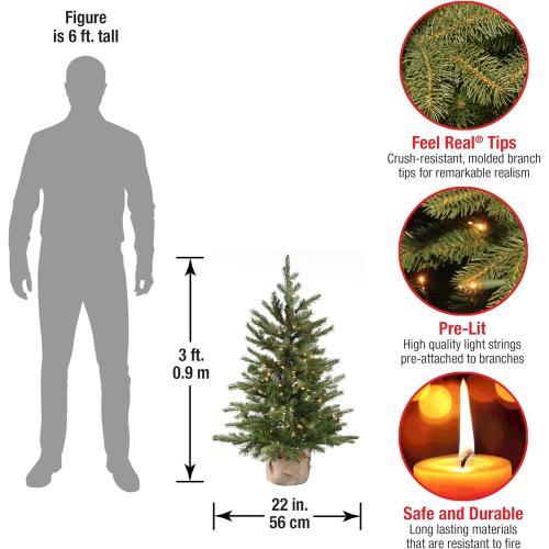 National Tree Company 3 ft Pre-Lit Nordic Spruce Mini Artificial Christmas Tree, 100 Clear Lights, 363 Tips, Burlap Base, Green