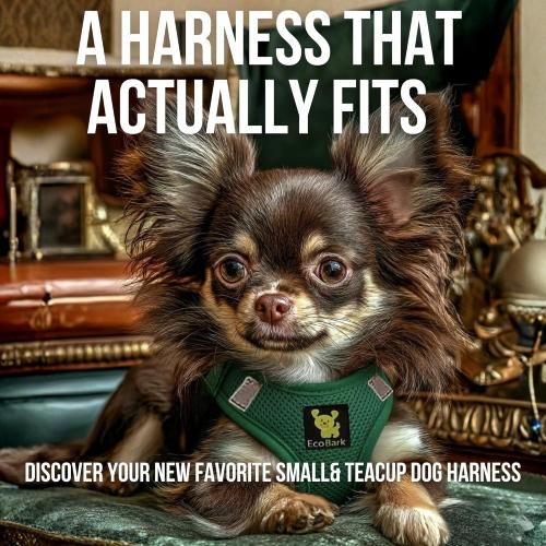 EcoBark Dog Harness - Luxury Step in Mesh Dog Harnesses in Forest Green - Soft & Secure Dog Harness Vest Body Wrap