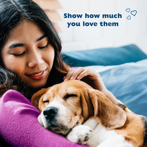 3 Pack Bil-Jac Little Jacs Small Dog Training Treats, Chicken Flavor, Made with Chicken Liver, 16oz (3-Pack)